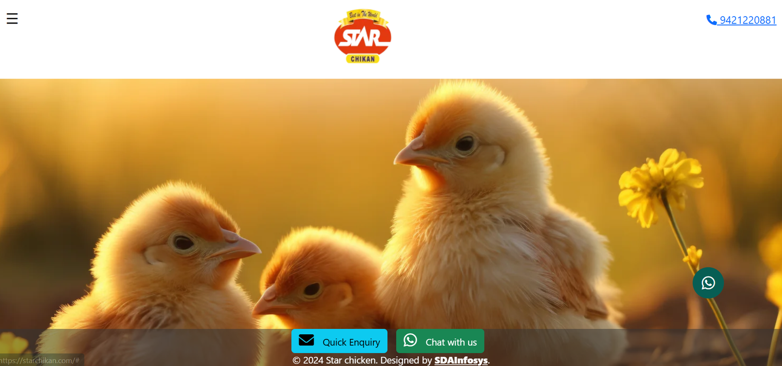Website 4